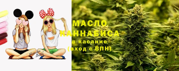 дмт Нягань